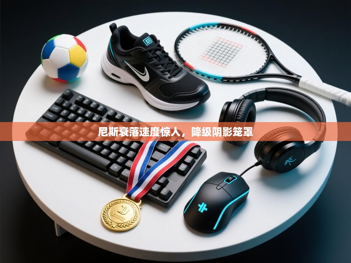 尼斯衰落速度惊人,降级阴影笼罩 第1张