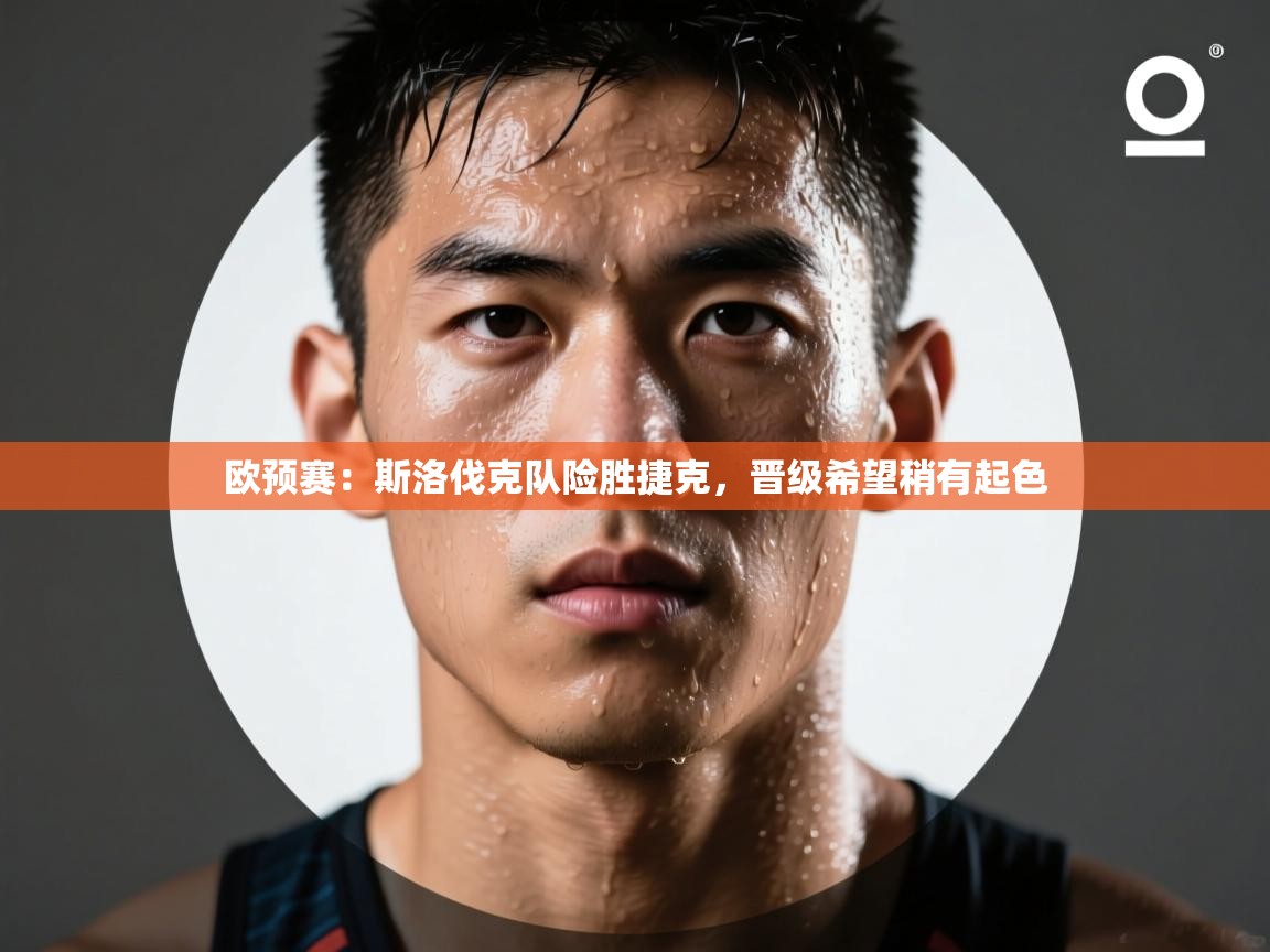 欧预赛：斯洛伐克队险胜捷克，晋级希望稍有起色  第2张