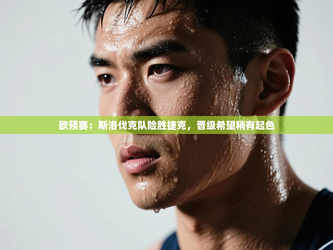 欧预赛：斯洛伐克队险胜捷克，晋级希望稍有起色  第1张