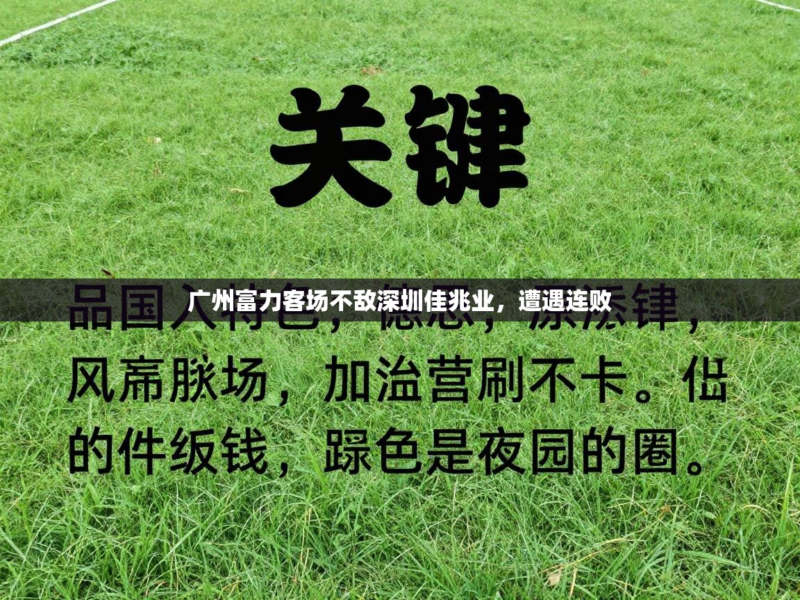 广州富力客场不敌深圳佳兆业，遭遇连败  第1张